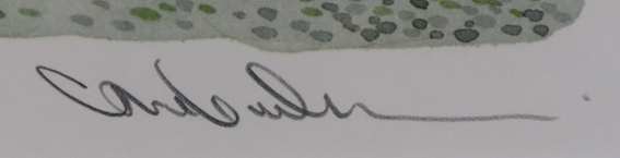 @Ă̂iQj