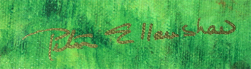 s[^[EGVE@v[TbJ[