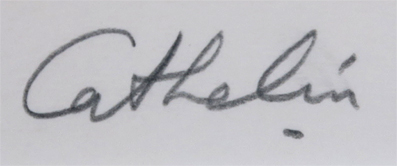 �J�g�����@�����e�[�u���̏�̃A�l���l