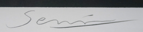 ��Z���@�X�̒�