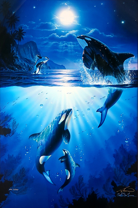 ���b�Z���@�~�X�e�B�b�N�I���J