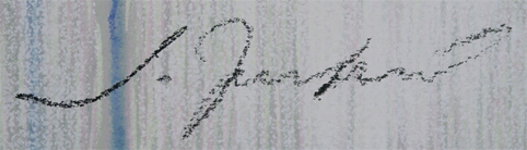 �����h�@�v�����V�o�[�h���K�N