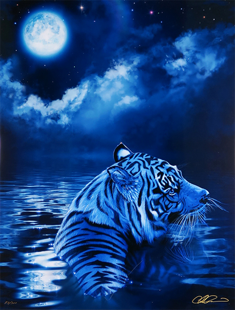 ���b�Z���@���[�����b�g�f�B�X�e�B�j�[